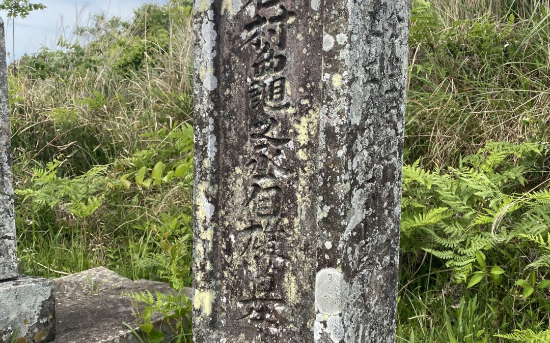 美容鍼のプロ直伝！上田市の美容鍼灸院によるアンダーアイズクマ改善の秘密