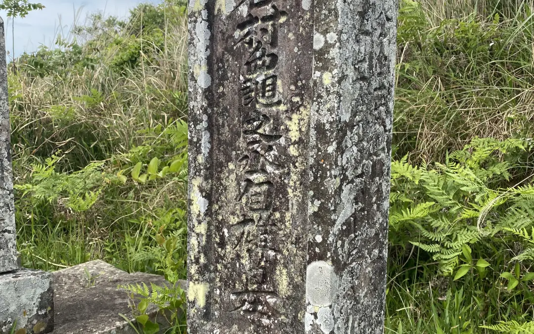 美容鍼のプロ直伝！上田市の美容鍼灸院によるアンダーアイズクマ改善の秘密
