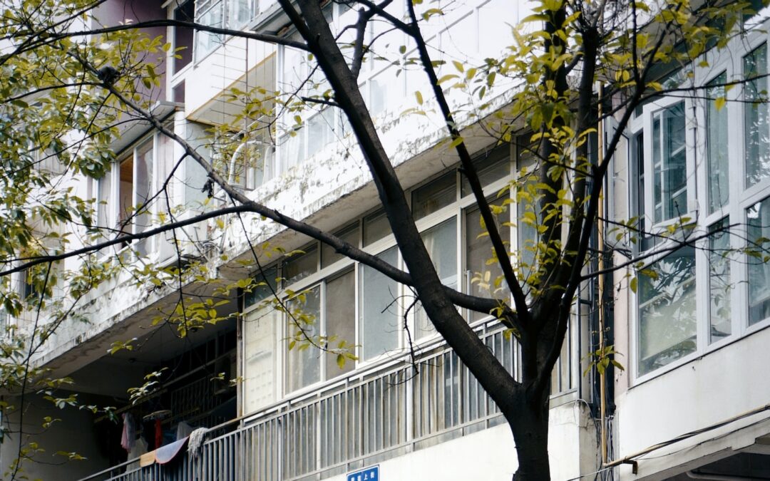 上田市の美容鍼-地域密着のサロンで、目元のクマを改善、肌蘇生への道を歩む