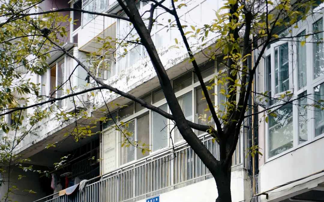 上田市の美容鍼-地域密着のサロンで、目元のクマを改善、肌蘇生への道を歩む