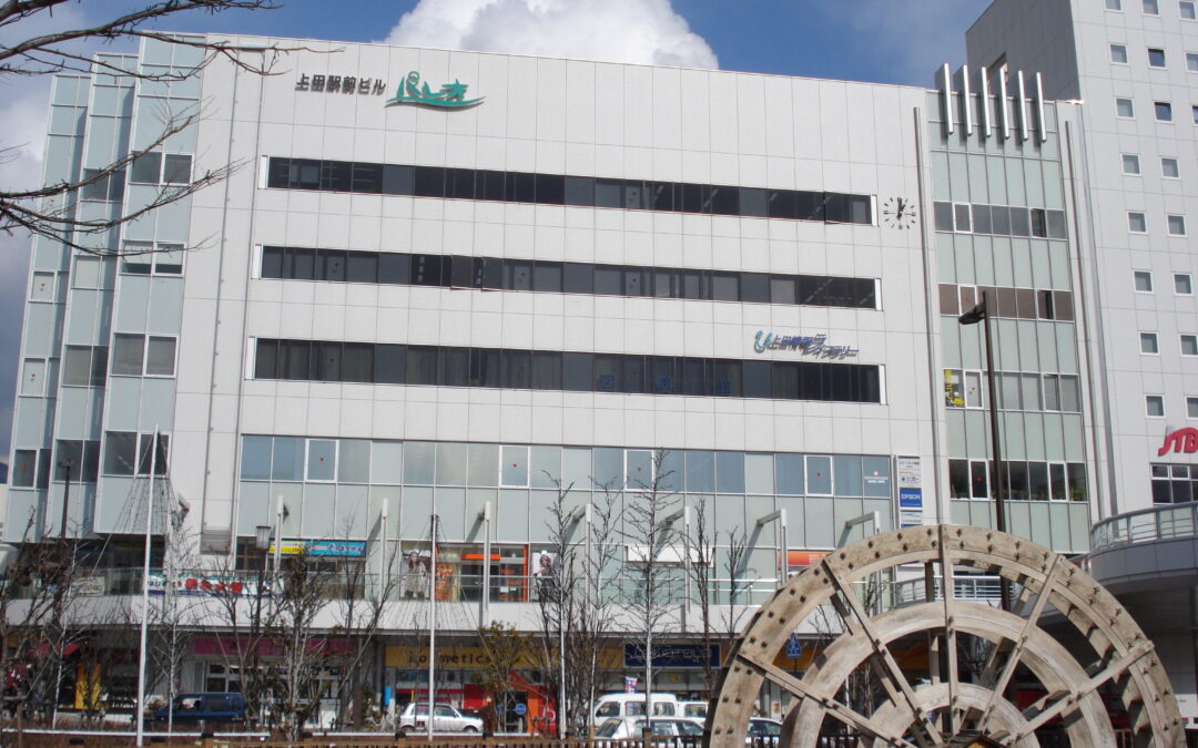 上田市の鍼灸院が明かす！「美容鍼」でクマ対策を効果的に進めるプロのテクニック