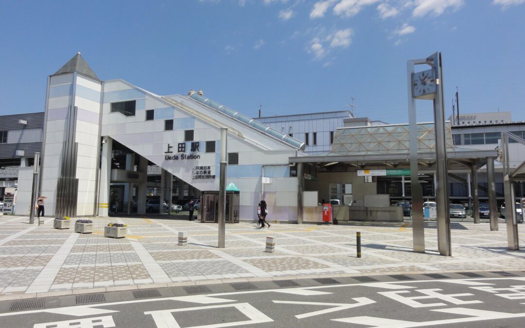 上田市の鍼灸院が提案！美容鍼でのクマ対策、その驚くべき効果とは？