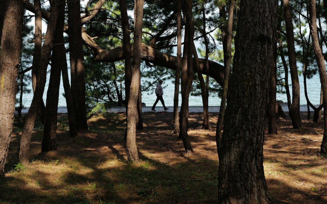 上田市の美容専門・上田鍼灸院が教える、驚きのクマ改善術！鍼灸の力でスッキリ目元へ