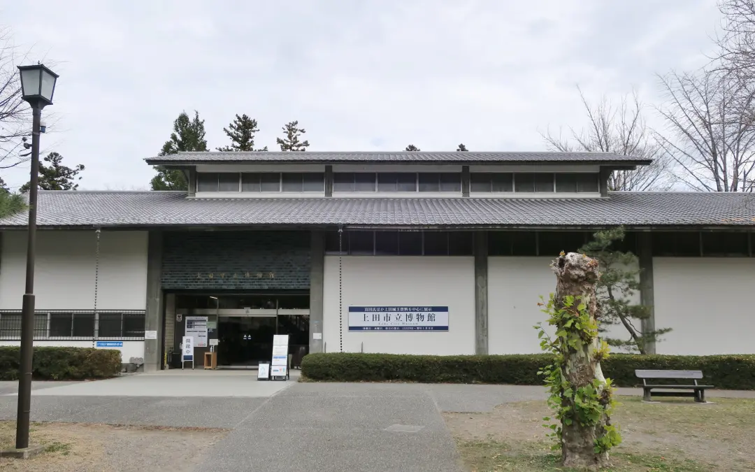 地元上田市発！目の下のクマ撃退、美容鍼で基礎から改善しましょう